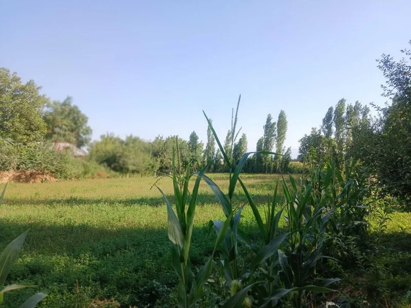 Диккат уй сотилади — фото 8