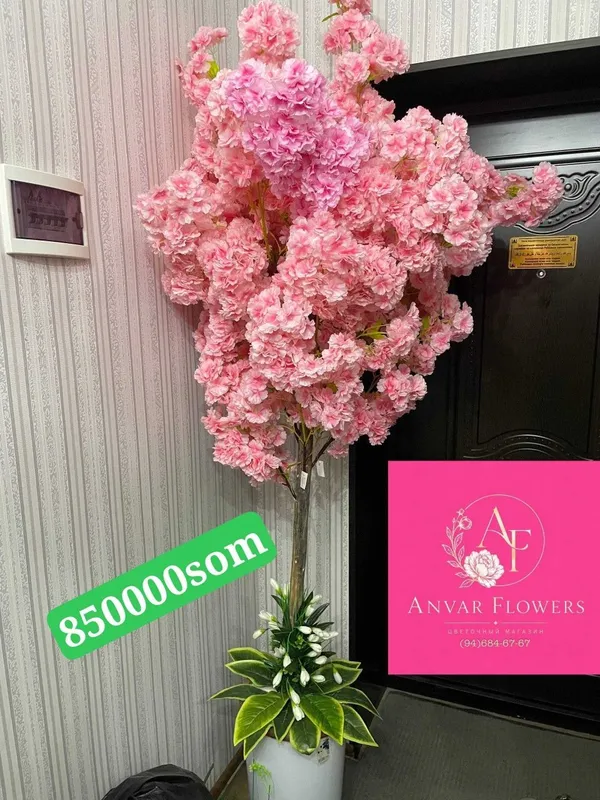 gullar darahtlar sotiladi sakura kala atrgul продается цвети и дерево — фото 1