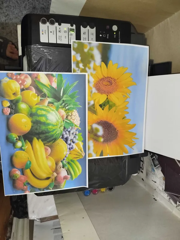 Epson CX7300 printer skaner kopiya 2 Epson CX7300 printer skaner kopiya 2