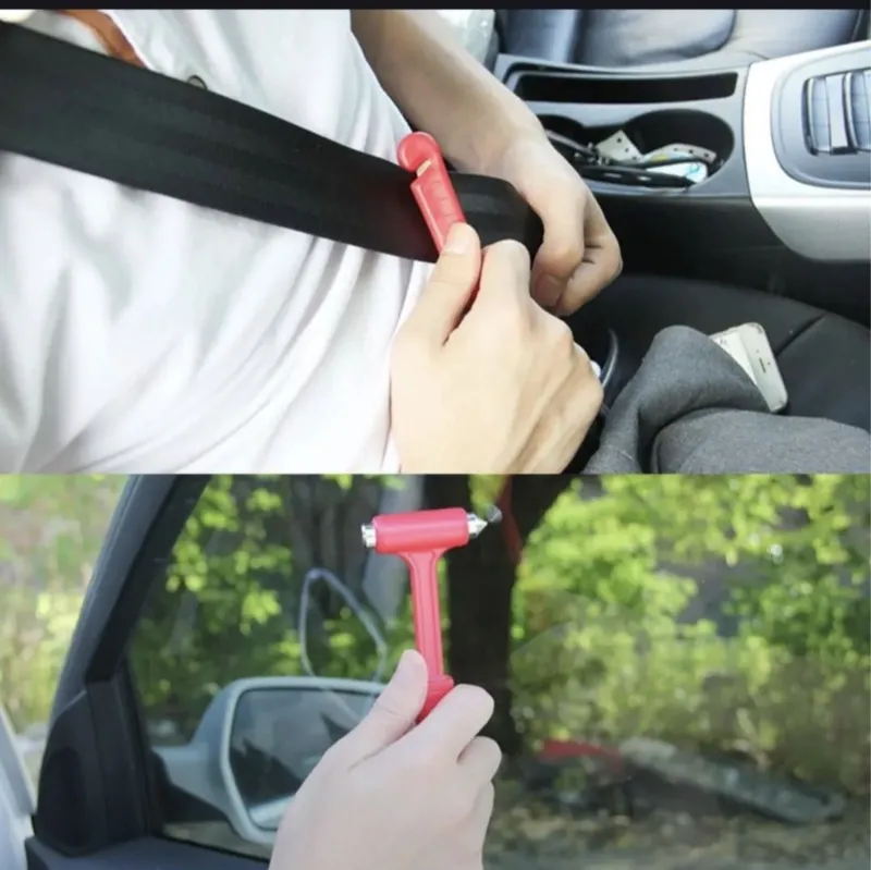 Xolagan kalchstvada bor 7
