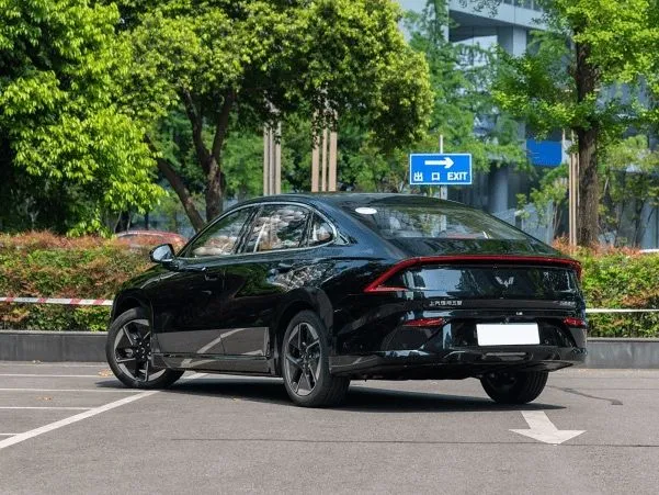 Wuling Starlight full pazitsa — фото 2