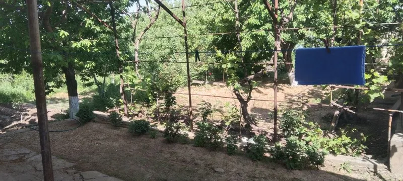Продам срочно участок в ЧарвакБурчмулла — фото 3