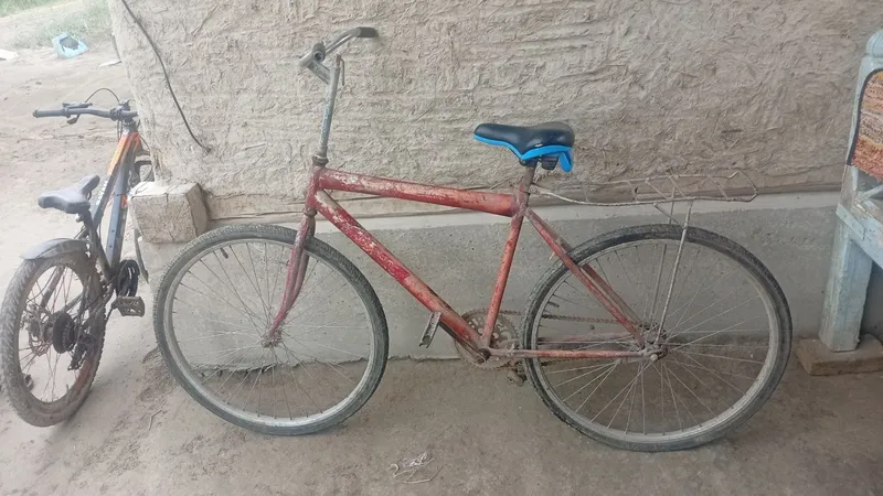velosiped