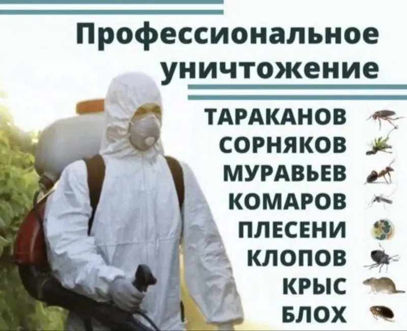 Дезинфекция от клопов, тараканов, блох. Результат 100% Гарантия!