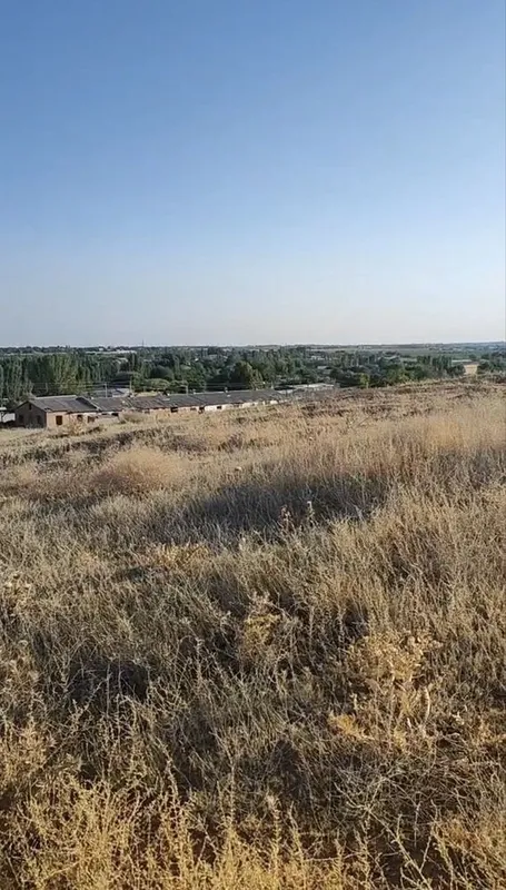 СРОЧНО! 4 Гектара в Кибрае по цене ниже рынка — фото 2
