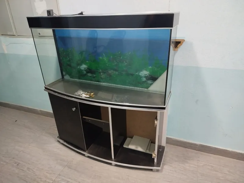 Akvarium sotiladi, yaxshi xolatda — фото 2