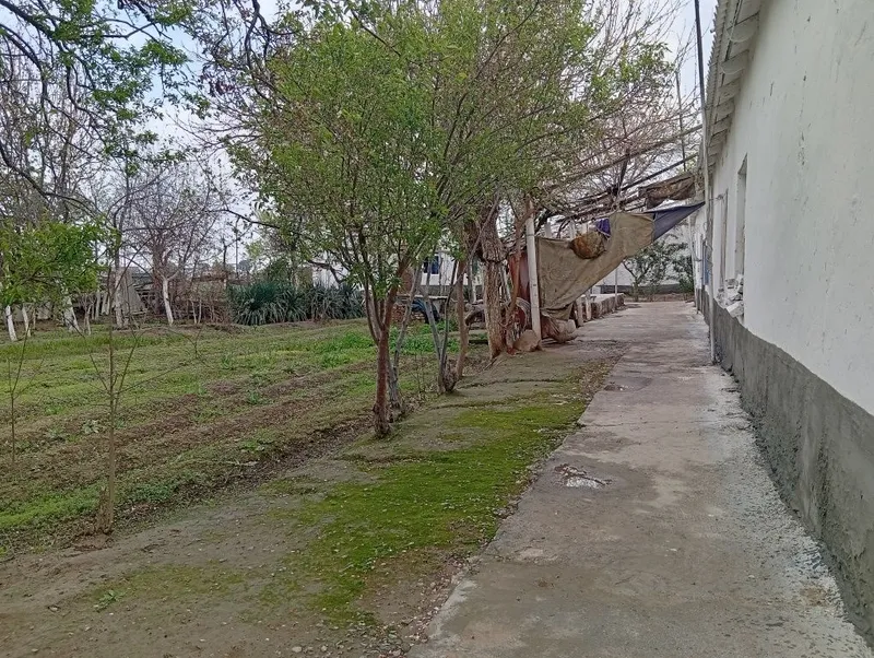 7 hona uy 23 sotix erli hovli sotiladi — фото 4