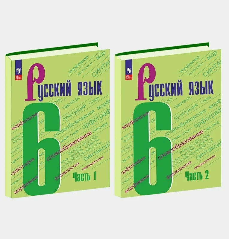 Доставка. Русский язык 5,6,7,8,9 класс Ладыженская — фото 2