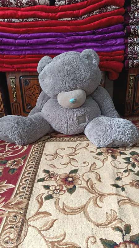 teddy ayiqcha