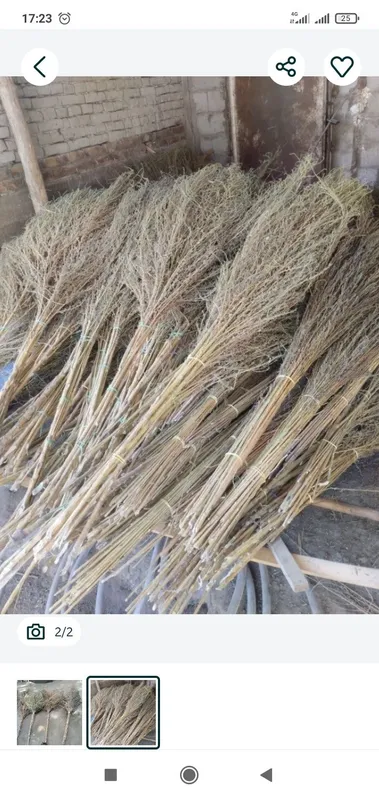 Supurgi kotta yangi 10 ming soʻm