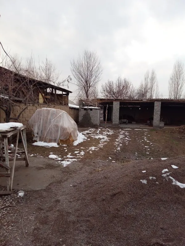 жумабазар аул шукрана кошесы 19 уи uy sotiladi 3 xona zabor bilan ora — фото 3