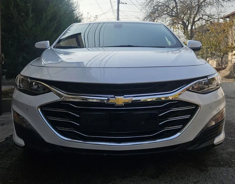 Malibu premier oq ( jemchuk emas)