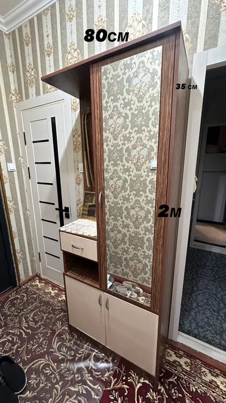 Kirish yo‘lagi uchun shkaf, ozoda va zamonaviy 2