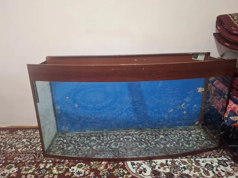 Akvarium 220 litrlik patstafkasi bilan — фото 1