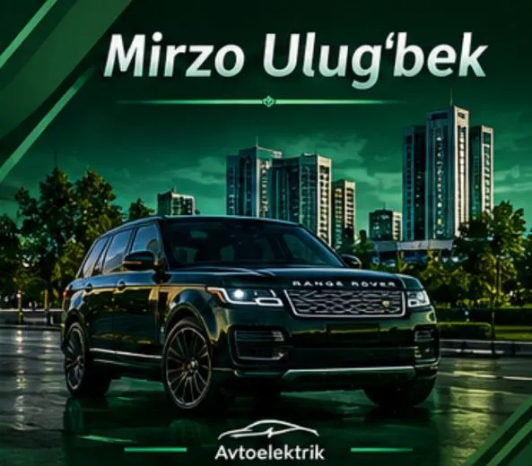 avtoelektrik vizif vizov vizp viezd vizof avtoelektrik vizif vizov vizp viezd vizof