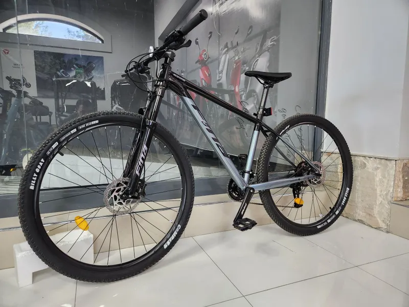 Fina 29 original velosiped 2 Fina 29 original velosiped 2