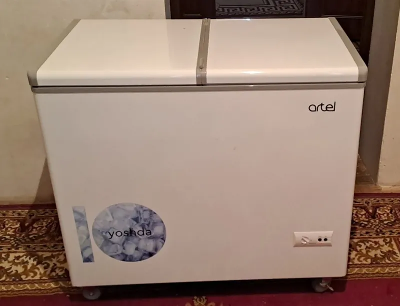 Marozki ARTEL 250L taza morozilnik