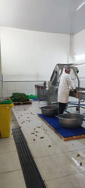 Продаётся производство 0,98 га — фото 4
