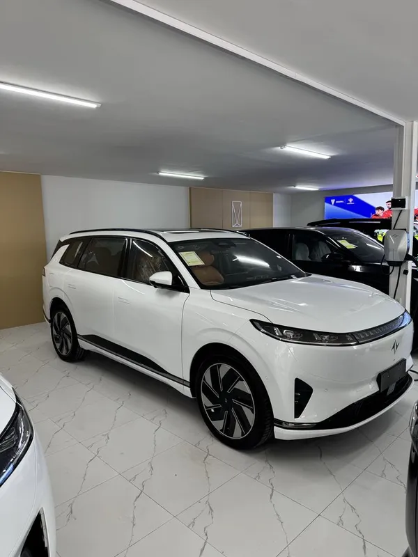 dongfeng ep008 2 каторли 2025 2
