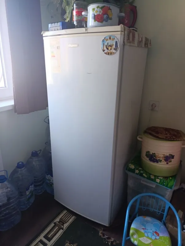 Музлатгич бирюса — фото 1