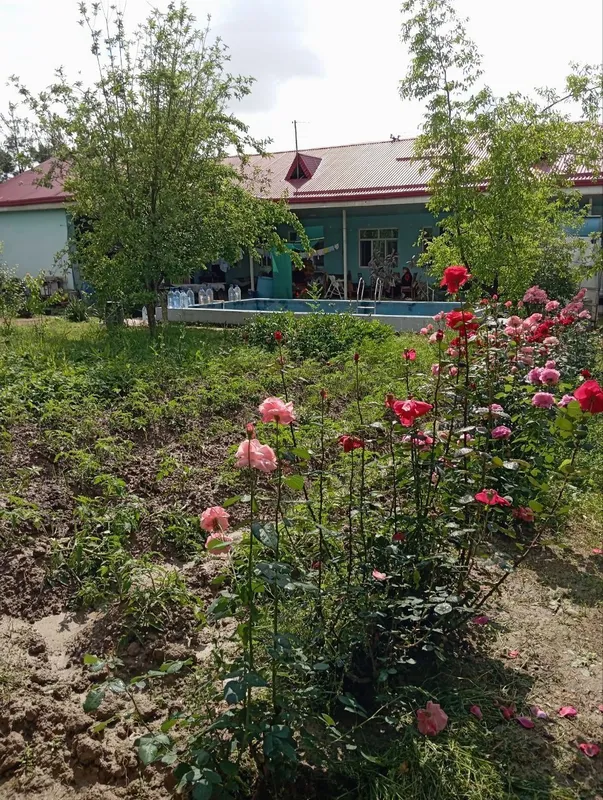 Продаётся уютная дача в Ташкентской области — фото 2
