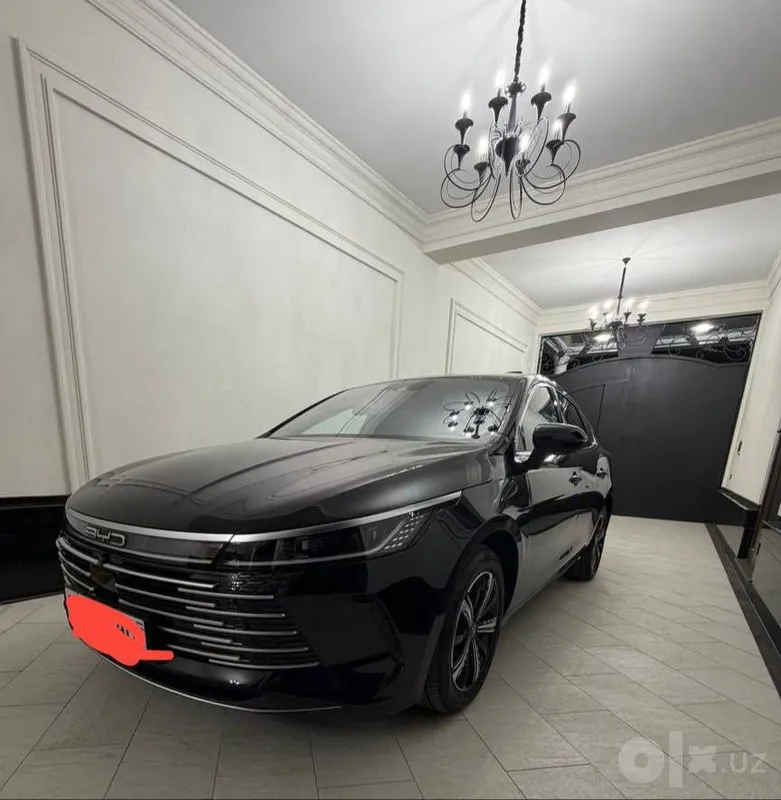 Byd Chazor Flagship full 3 Byd Chazor Flagship full 3