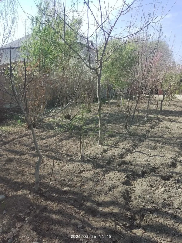 Fargona shaxar Beshbolada 3 so tix er sotiladi — фото 1