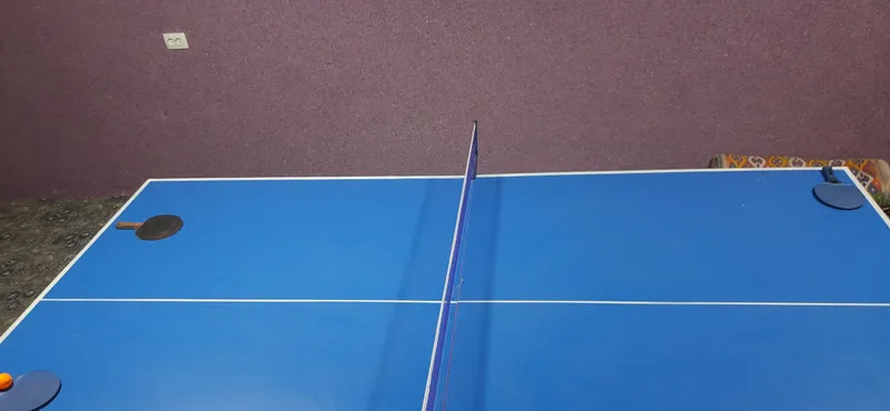 Stol tennisi