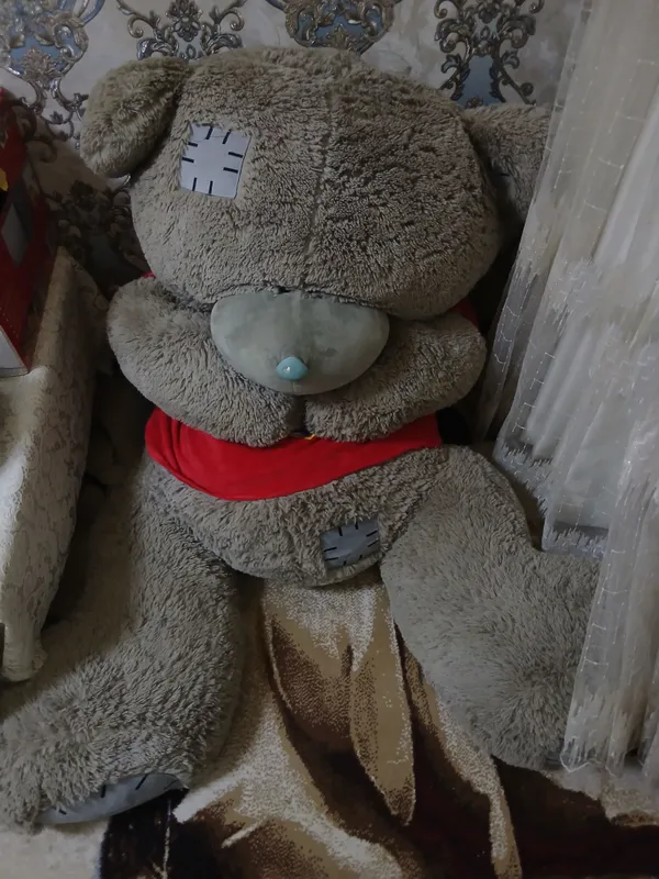 teddy ayiq xolati a'lo yengi 165sm — фото 3