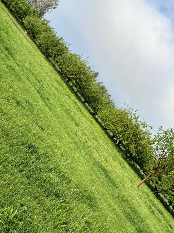 Hovli sotiladi srochna 7 Hovli sotiladi srochna 7