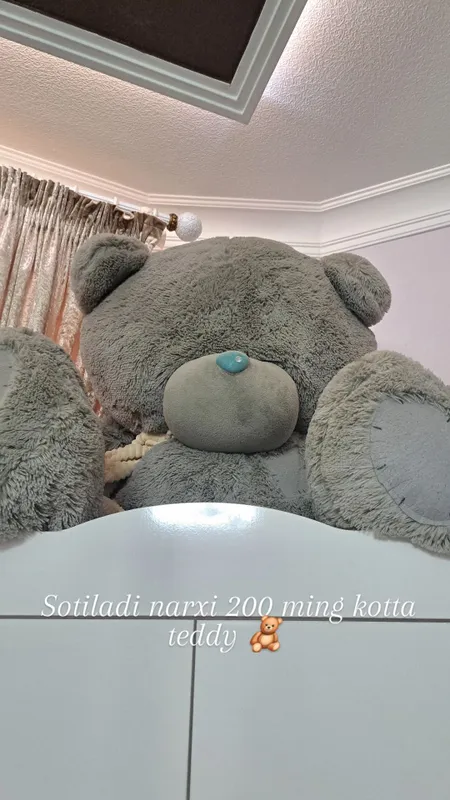 Mishka teddy Jenskiy kabluk Mishka teddy Jenskiy kabluk