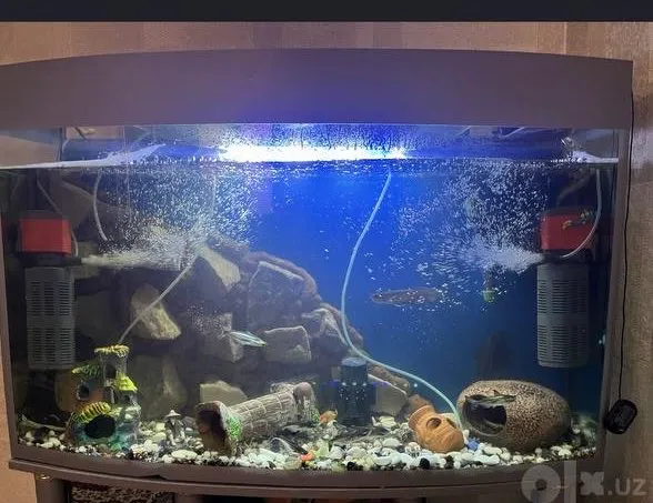Akvarium 2 Akvarium 2
