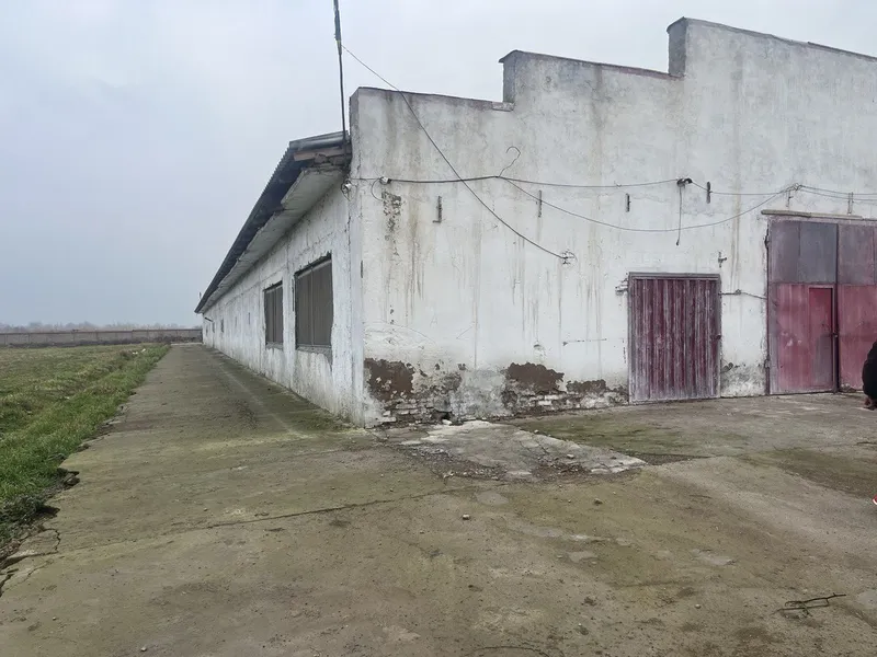 Продаётся откормочная база-ферма — фото 1 Продаётся откормочная база-ферма — фото 1