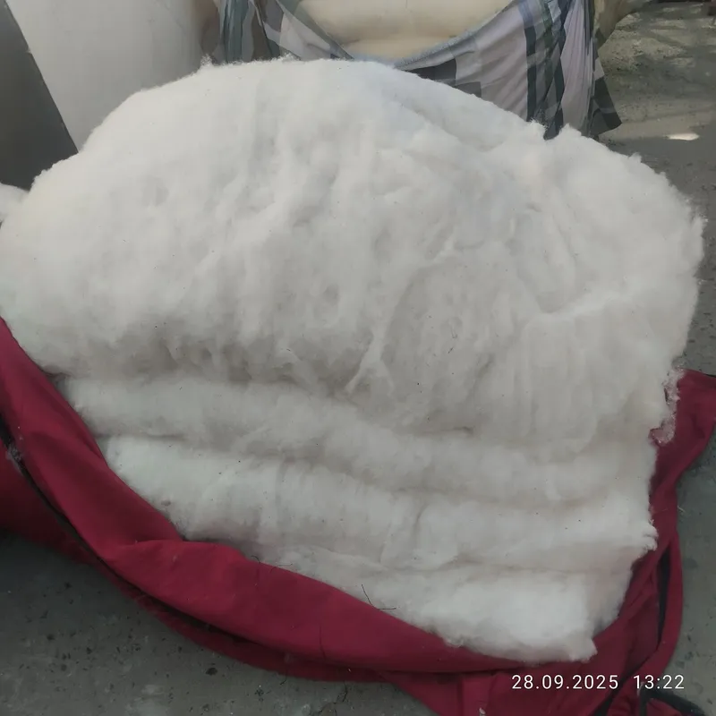 Oq Paxtamiz bor 1 sort yaxshi 1 Oq Paxtamiz bor 1 sort yaxshi 1