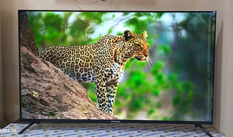 Телевизор Premier 55"