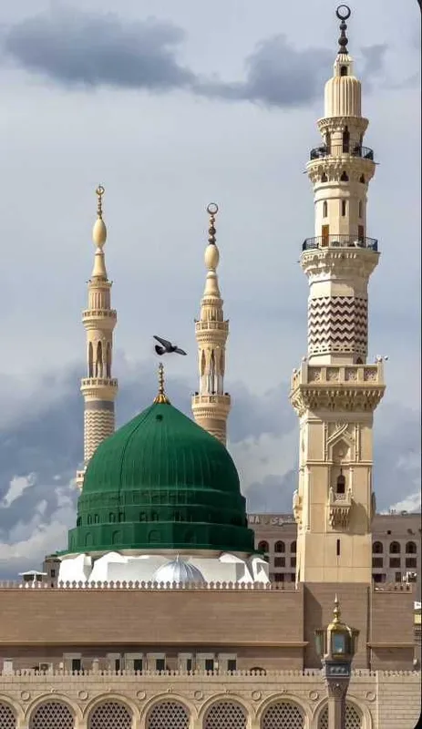 Umra safari, Umra ziyorati — фото 2