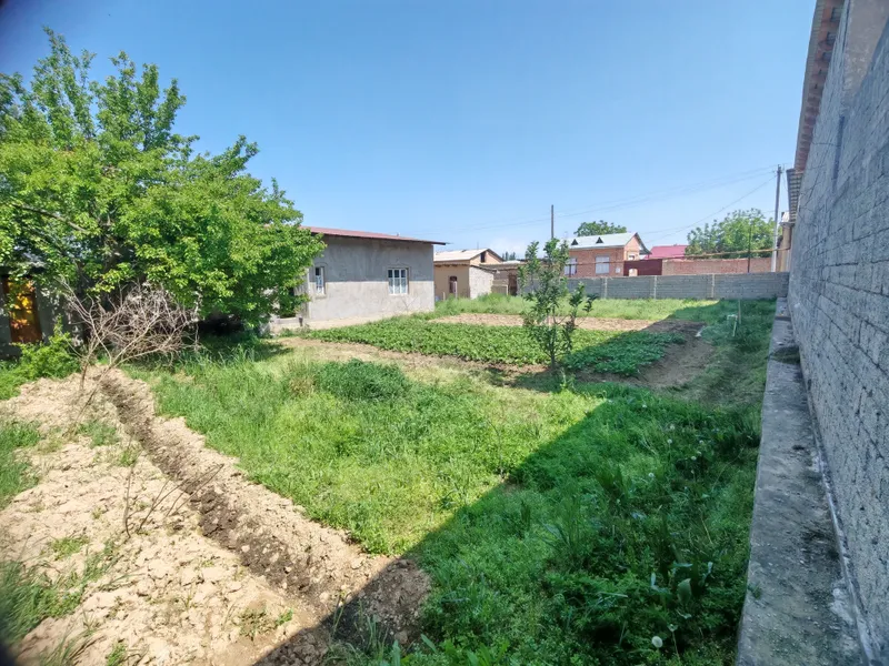 Участка йер сотилади 6 сотих 1 сотихи 15.000$ — фото 4