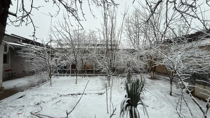 САМАРКАНД ДАРВОЗА ул(Зангиата махалля)! Дешёвая цена!!! Арзон нарх!!! — фото 1