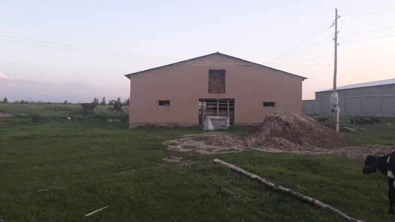 Мол ферма сотилади 3