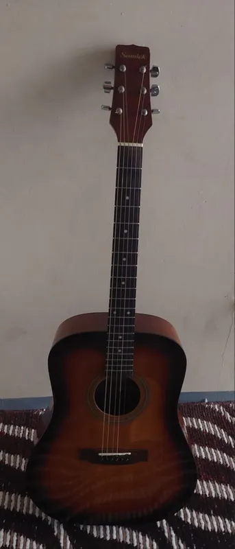 Akustika gitara sotladi 4