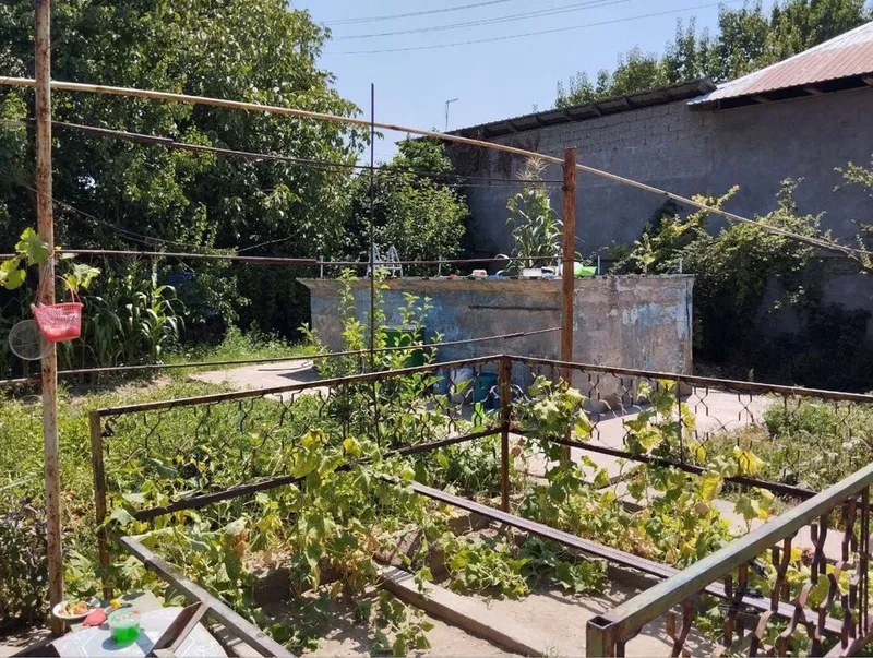 Продается Дача, Паркент -Нилюфар 2 Продается Дача, Паркент -Нилюфар 2
