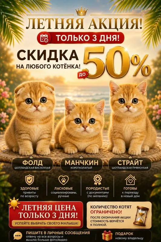 Летняя цена , Манчкин 1 Летняя цена , Манчкин 1