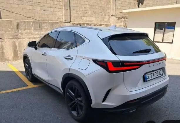 Lexus NX 350h Luxury — фото 4
