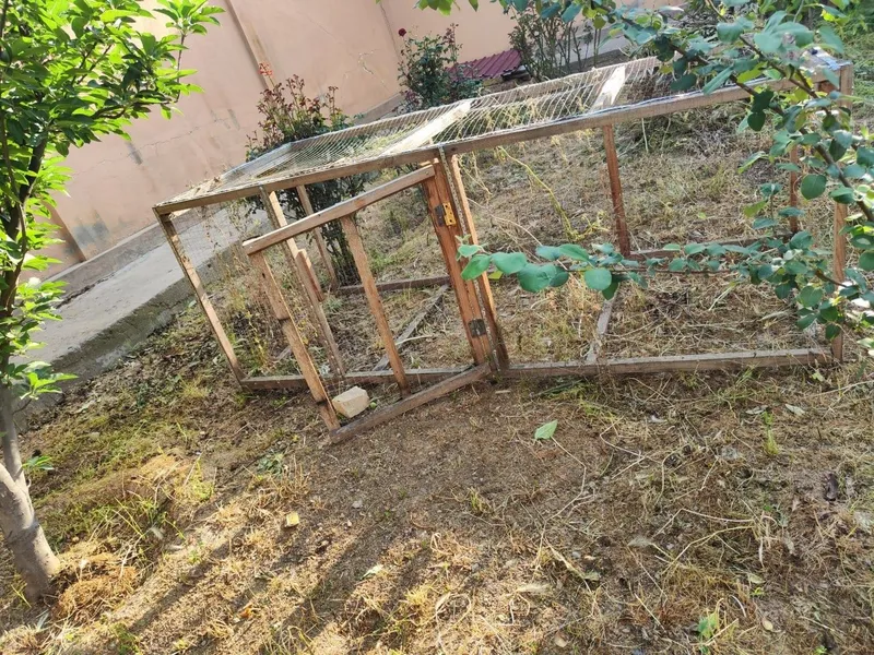 Товук катак сотилади