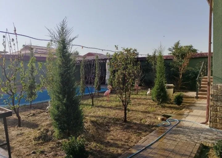 Срочно сдаётся участок в аренда янги узбекистан — фото 4