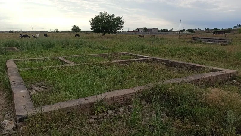 Продается 24 соток земли в дачном массиве Акмал Икром — фото 6