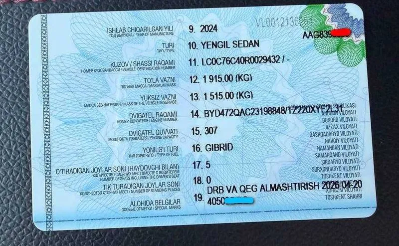 BYD chazor 2024 gibrid 6
