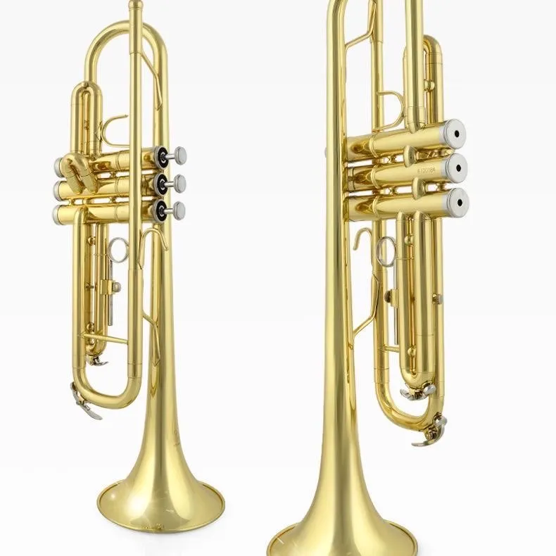 Truba 6