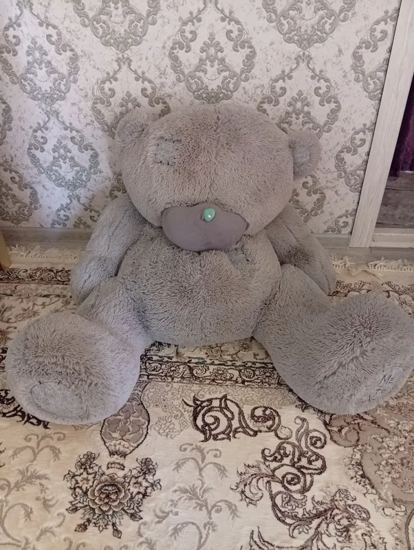 teddy ayiqcha kottasi