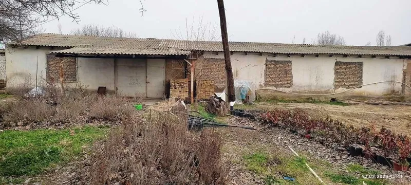 81 сотик ер сотилади — фото 6